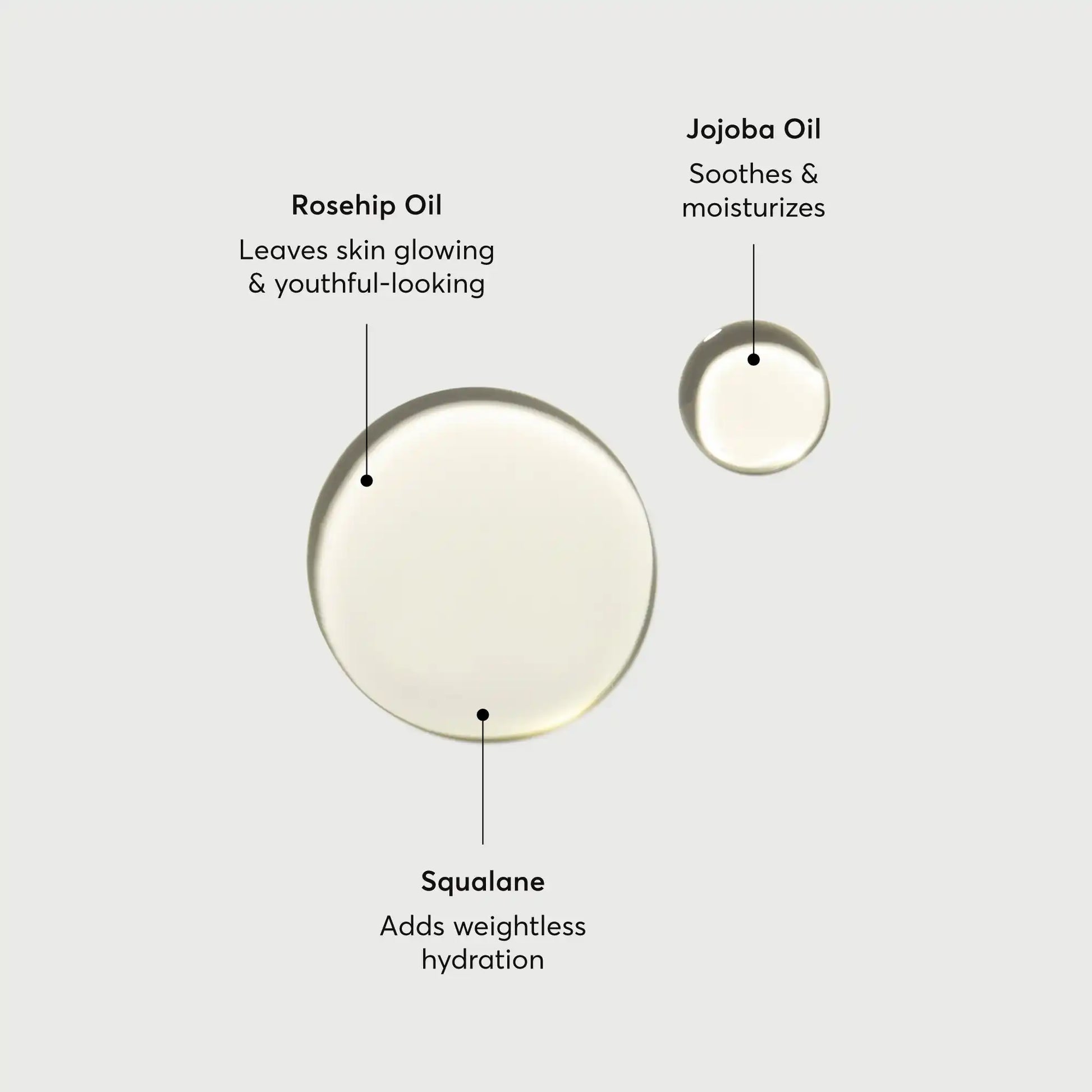 the-glow-getter-body-oil-m1 NATR-10115-Alt-Images-The-Glow-Getter-Body-Oil-01.webp