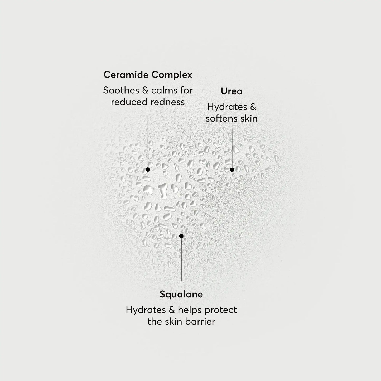 barrier-bounce-bi-phase-mist-g0 NATR-10167-Alt-Images-Barrier-Bounce-Bi-Phase-Toner-Mist_01.webp