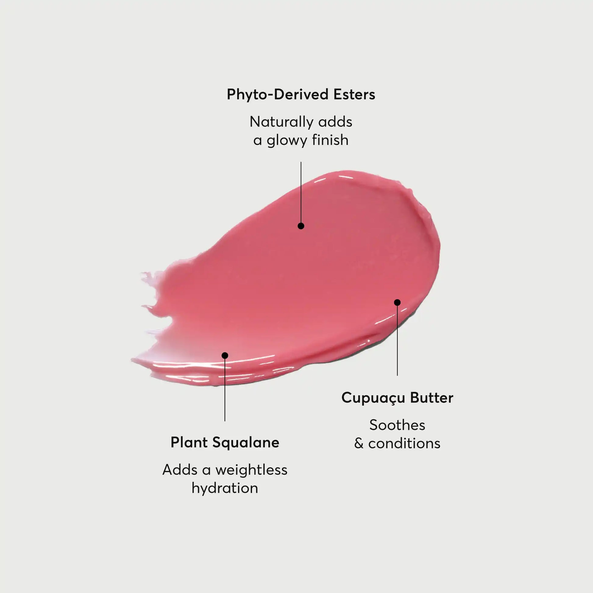 phyto-glow-lip-balm-petal-x8 NATR-60067-Alt-Images-Phyto-Glow-Lip-Balm-Petal-01.webp